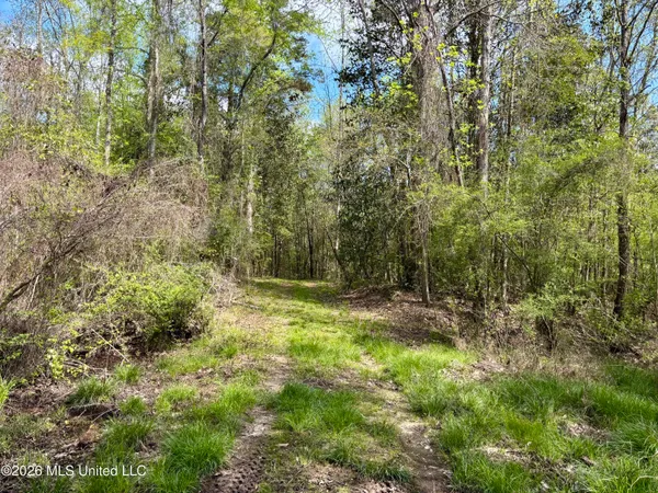 $486,500 | 50 Oakdale Church Road, Seminary, MS 39479