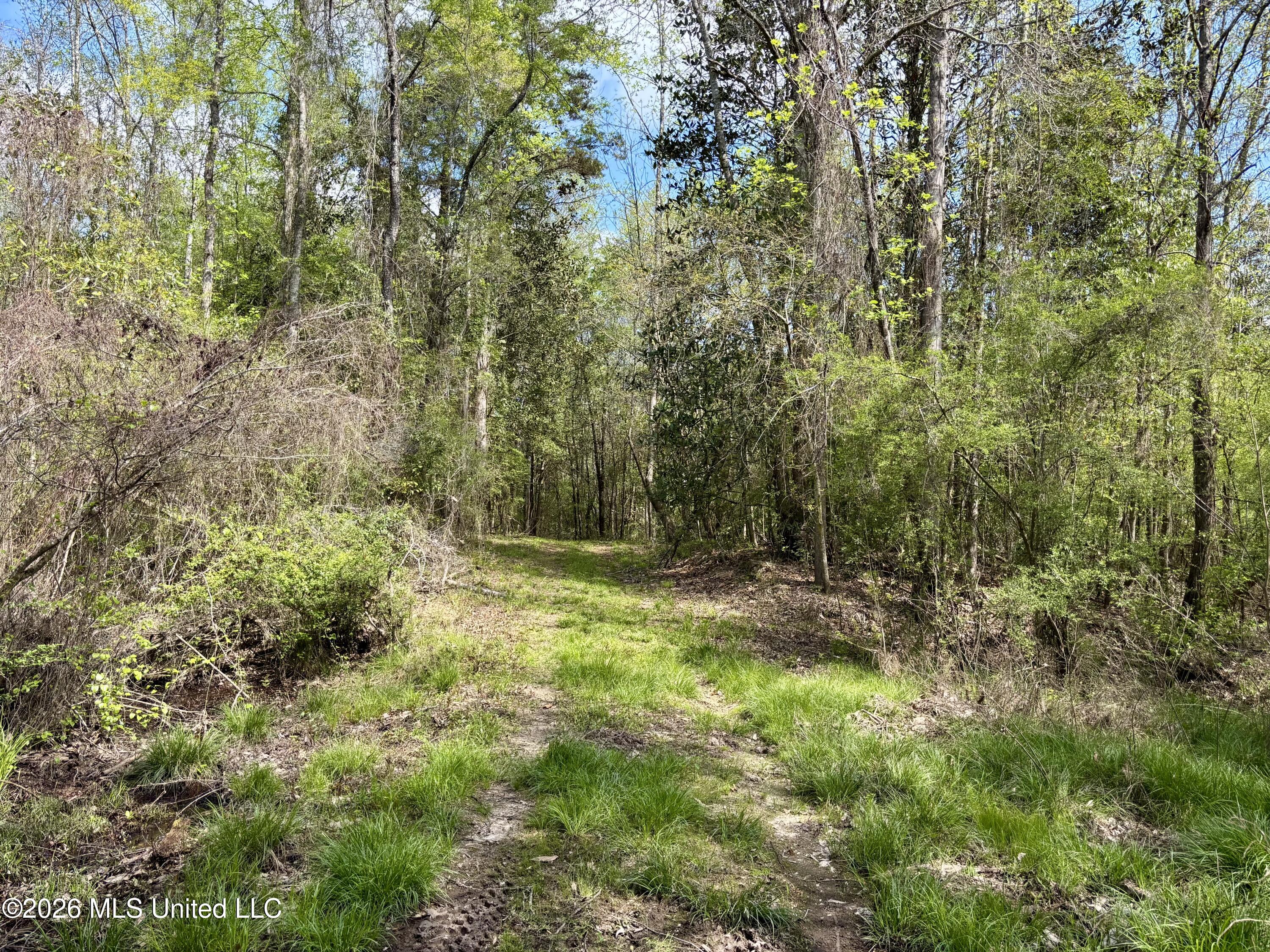 50 Oakdale Church Road Seminary, MS 39479 - Photo 62 of 65 IMG_4052
