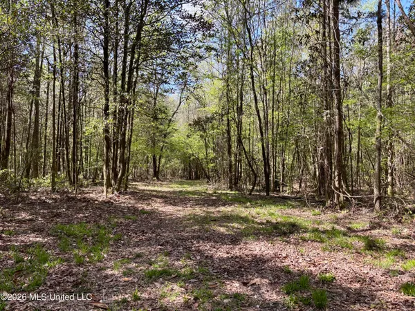 $486,500 | 50 Oakdale Church Road, Seminary, MS 39479
