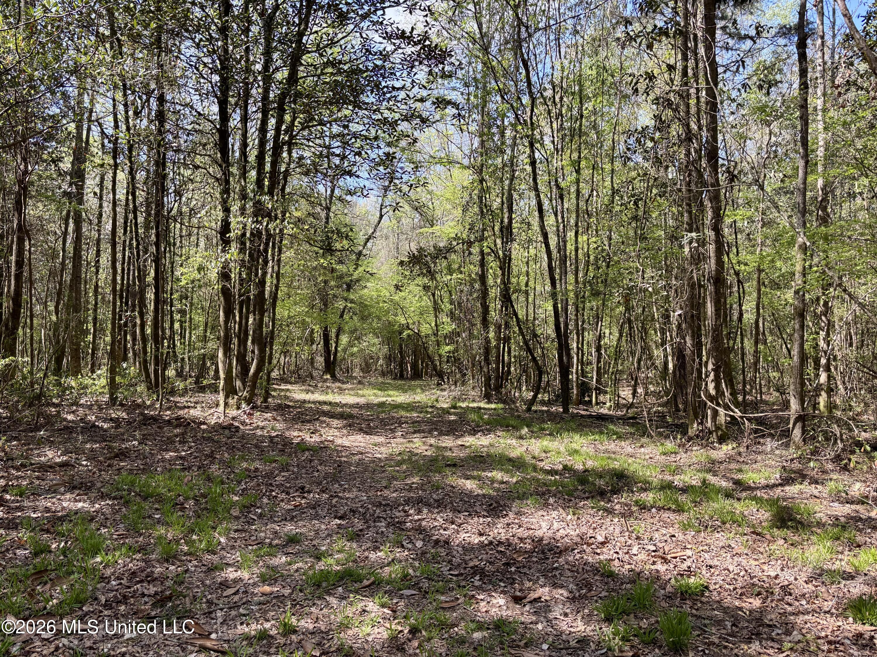 50 Oakdale Church Road Seminary, MS 39479 - Photo 63 of 65 IMG_4065