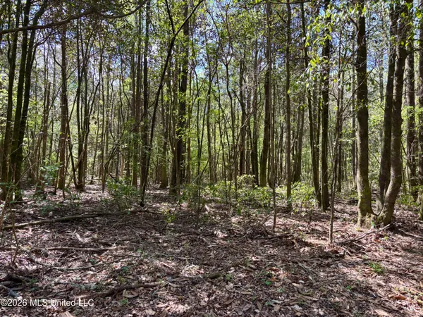 $486,500 | 50 Oakdale Church Road, Seminary, MS 39479