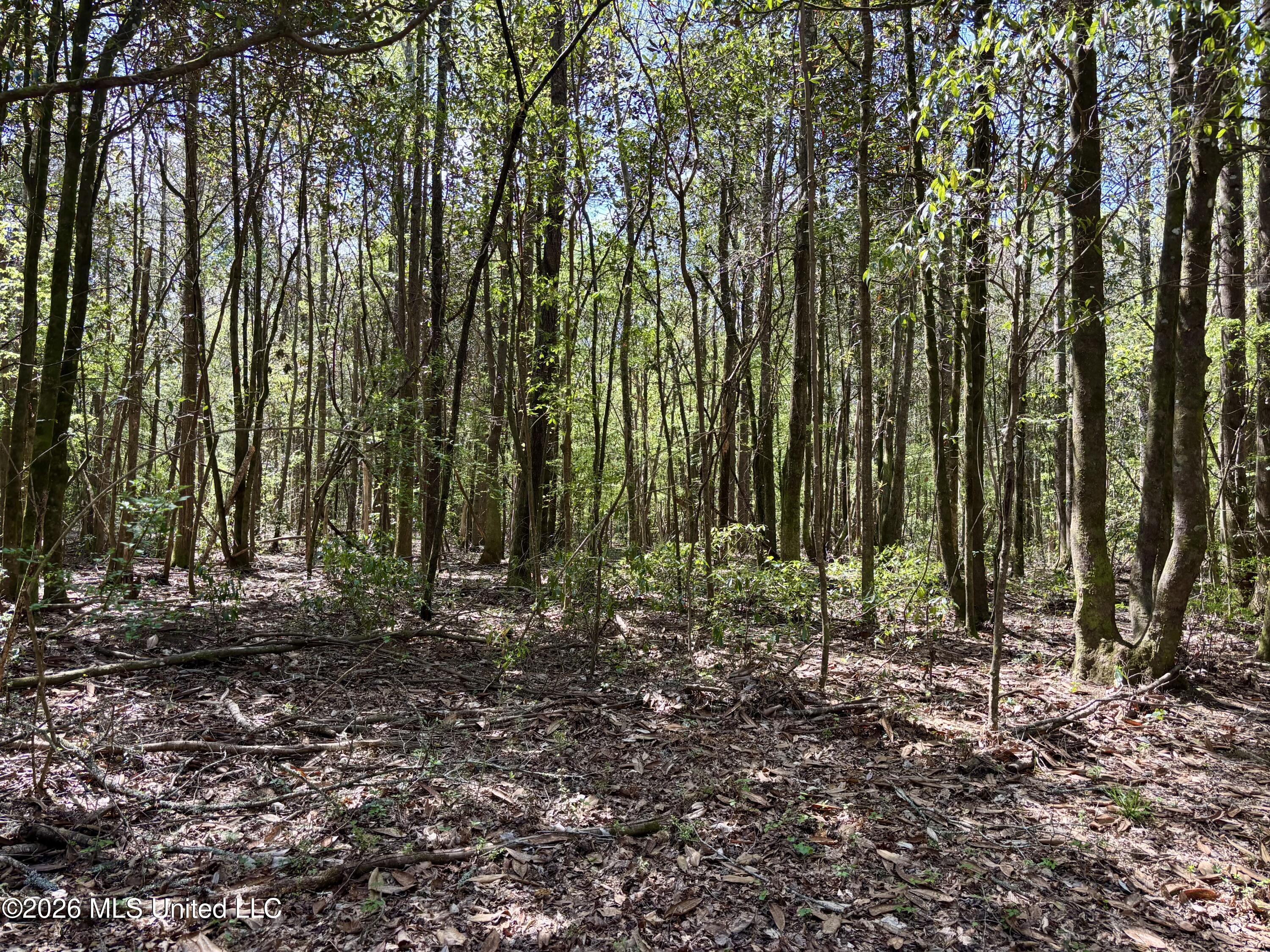 50 Oakdale Church Road Seminary, MS 39479 - Photo 64 of 65 IMG_4066