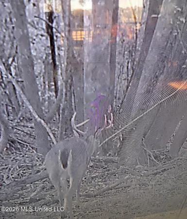 $486,500 | 50 Oakdale Church Road, Seminary, MS 39479