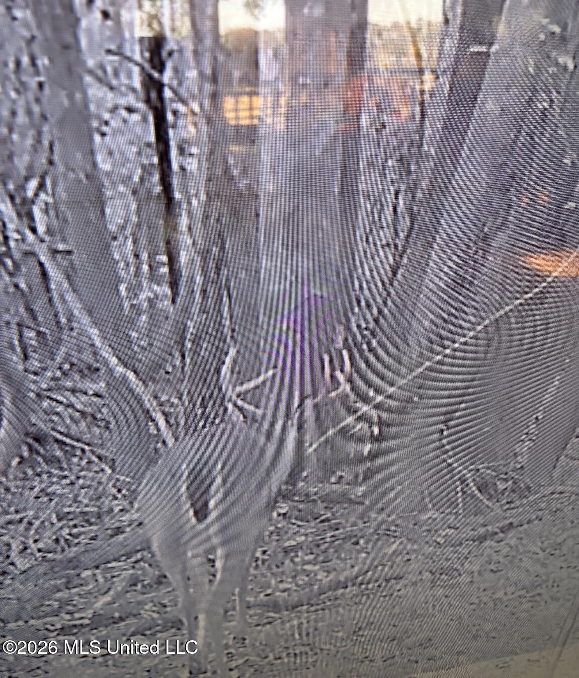 50 Oakdale Church Road Seminary, MS 39479 - Photo 7 of 65 IMG_4171