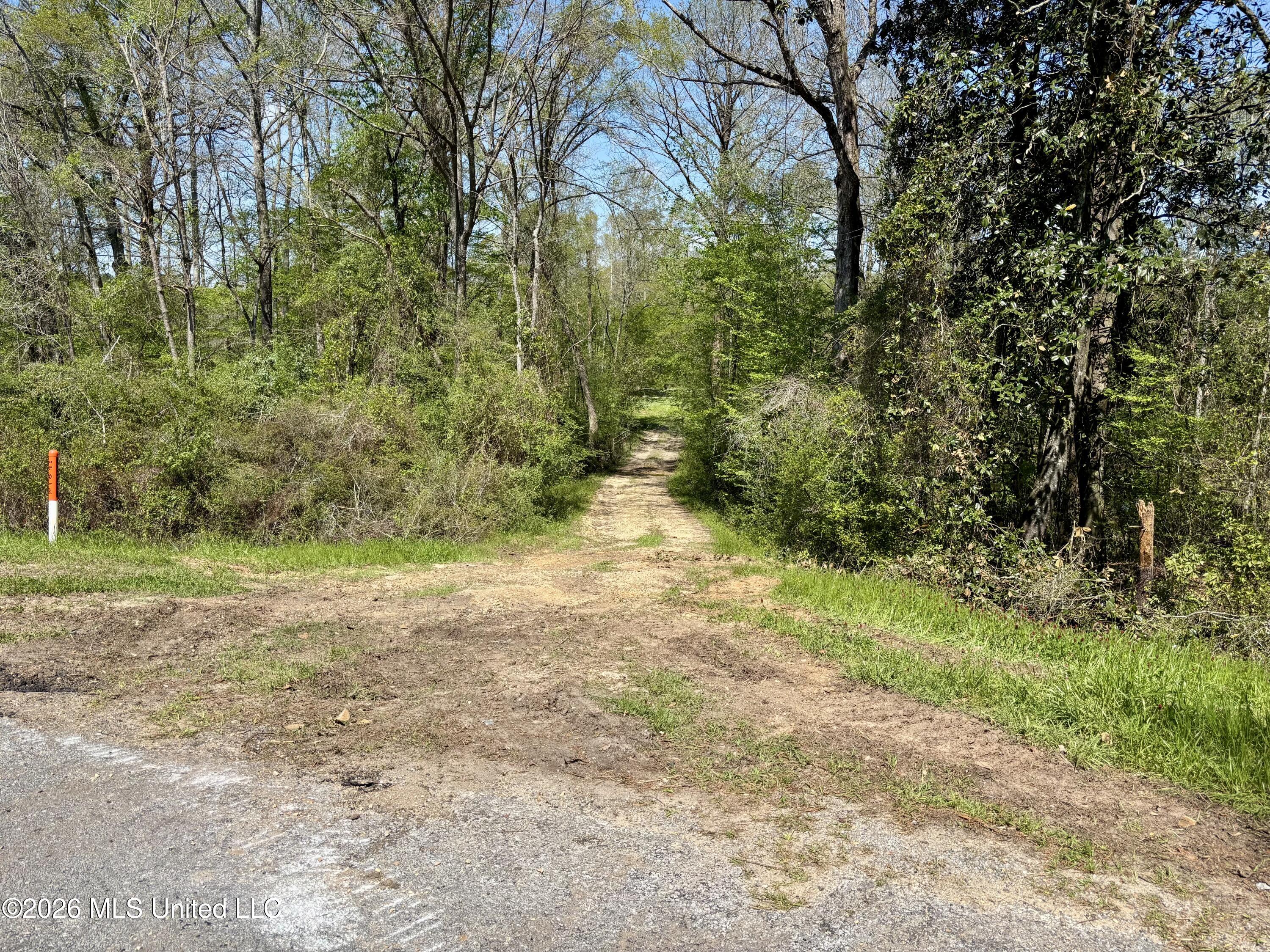 50 Oakdale Church Road Seminary, MS 39479 - Photo 10 of 65 IMG_4090