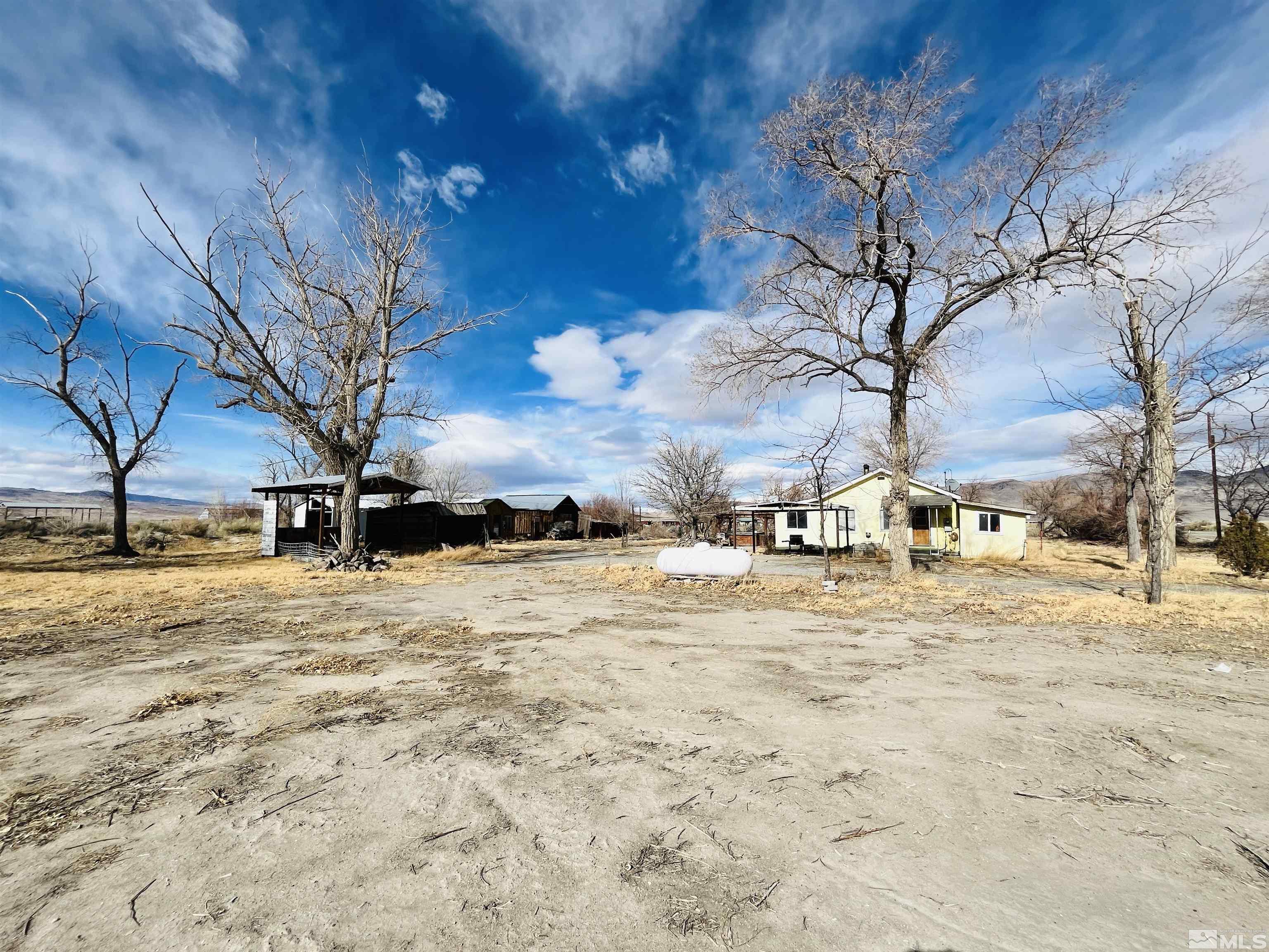 249 Us Highway 95a North Yerington, NV 89447 - Photo 19 of 24 a view of a yard with a tree