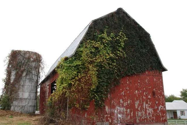 $1,885,000 | 2975-4 Boynton Avenue Northeast, Ada, MI 49301