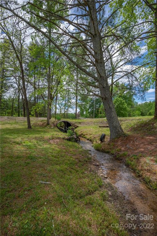 488 Elliott Road Rutherfordton, NC 28139 - Photo 32 of 44 a view of a tree in a yard