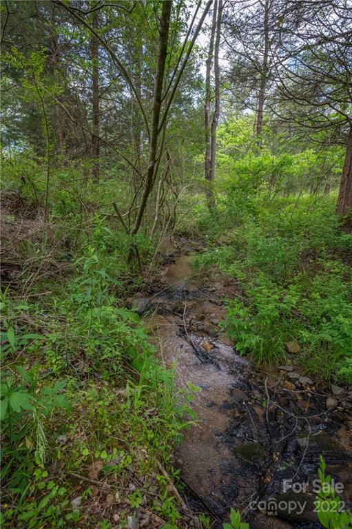 488 Elliott Road Rutherfordton, NC 28139 - Photo 33 of 44 a view of a lush green forest