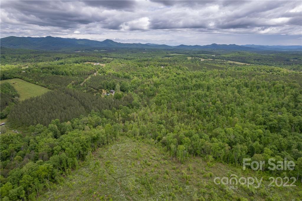 488 Elliott Road Rutherfordton, NC 28139 - Photo 37 of 44 a view of a city with lush green forest