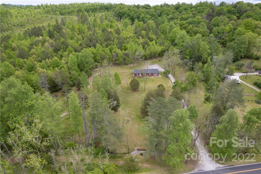 488 Elliott Road Rutherfordton, NC 28139 - Photo 42 of 44 a view of a forest with a street
