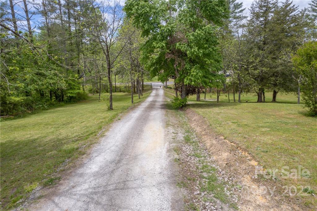 488 Elliott Road Rutherfordton, NC 28139 - Photo 5 of 44 a view of a yard with a trees