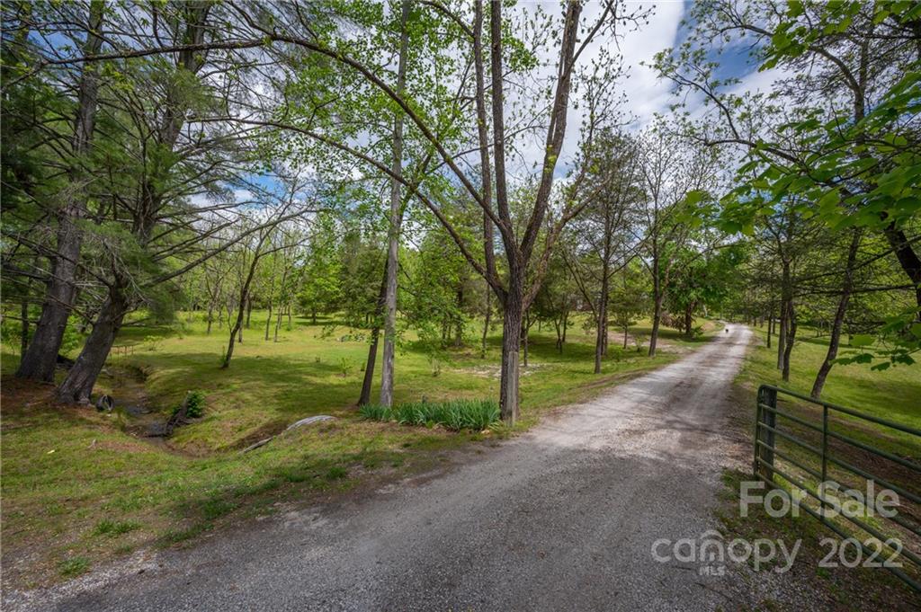 488 Elliott Road Rutherfordton, NC 28139 - Photo 7 of 44 a view of a street with large trees