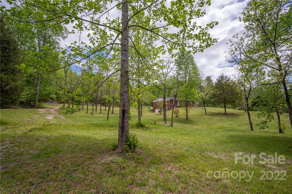 488 Elliott Road Rutherfordton, NC 28139 - Photo 9 of 44 a view of a park with a tree