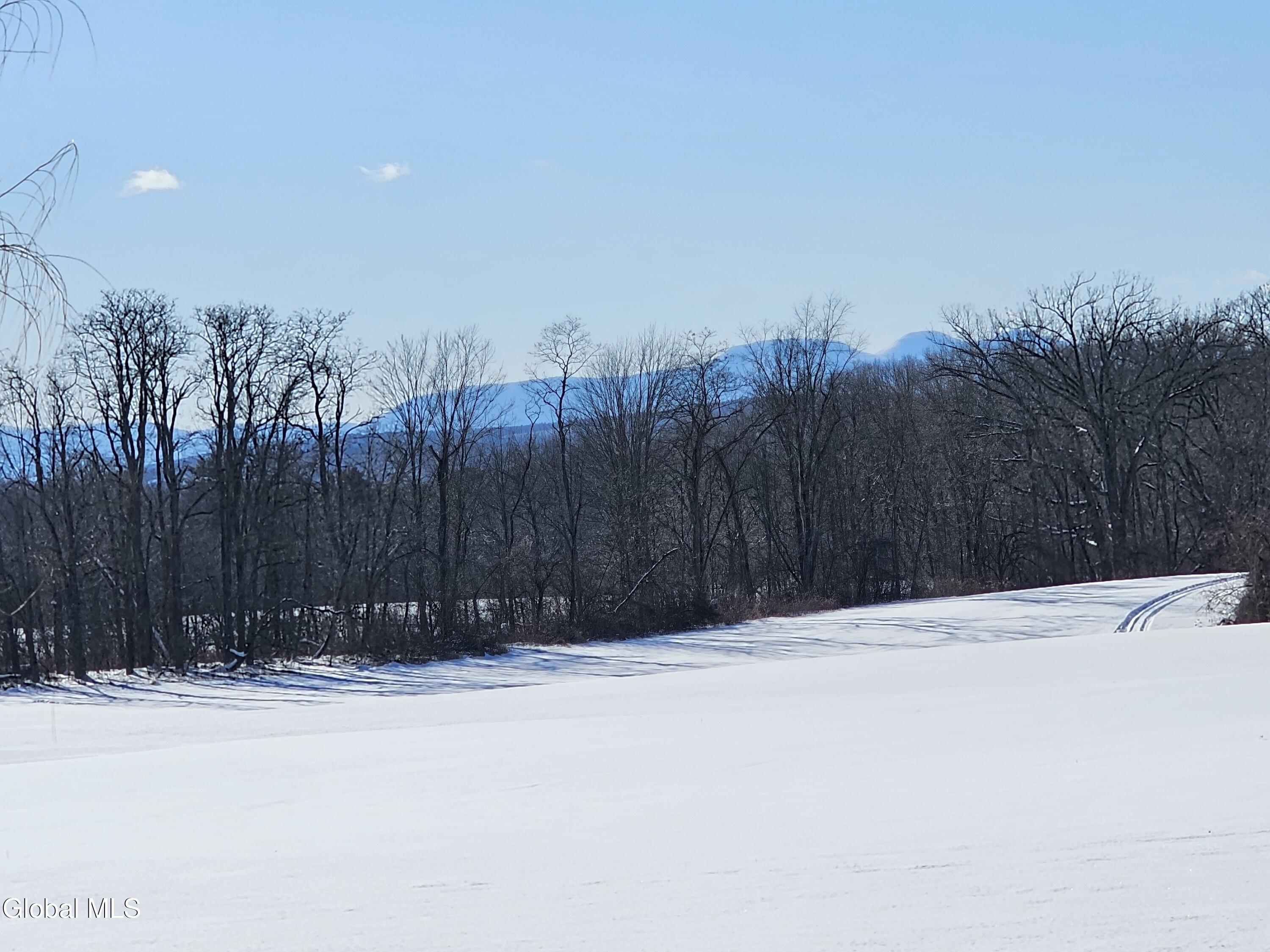 L29 Ridge Road Schodack Landing, NY 12156 - Photo 2 of 10 Ridge Rd