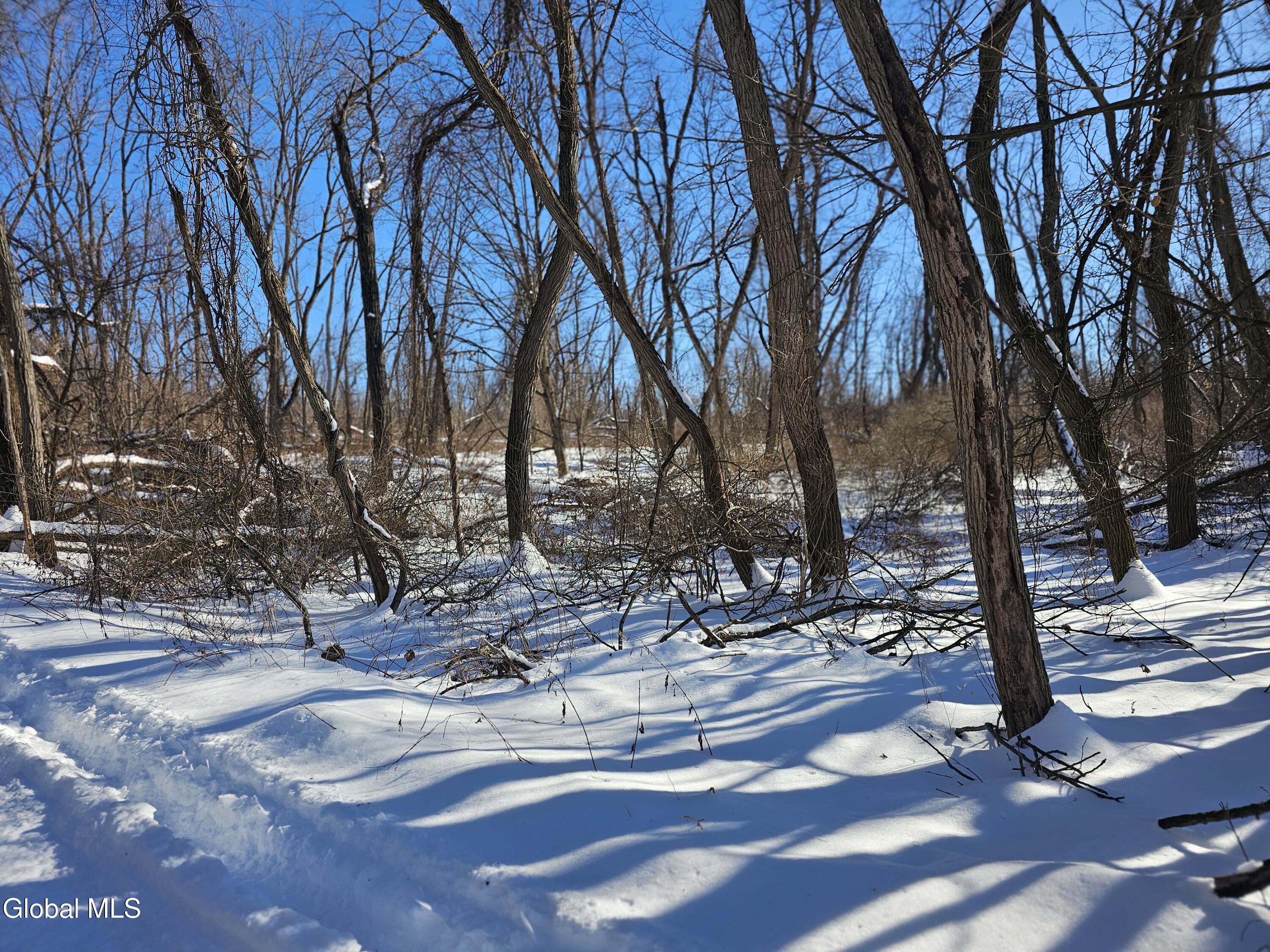 L29 Ridge Road Schodack Landing, NY 12156 - Photo 4 of 10 River Rd