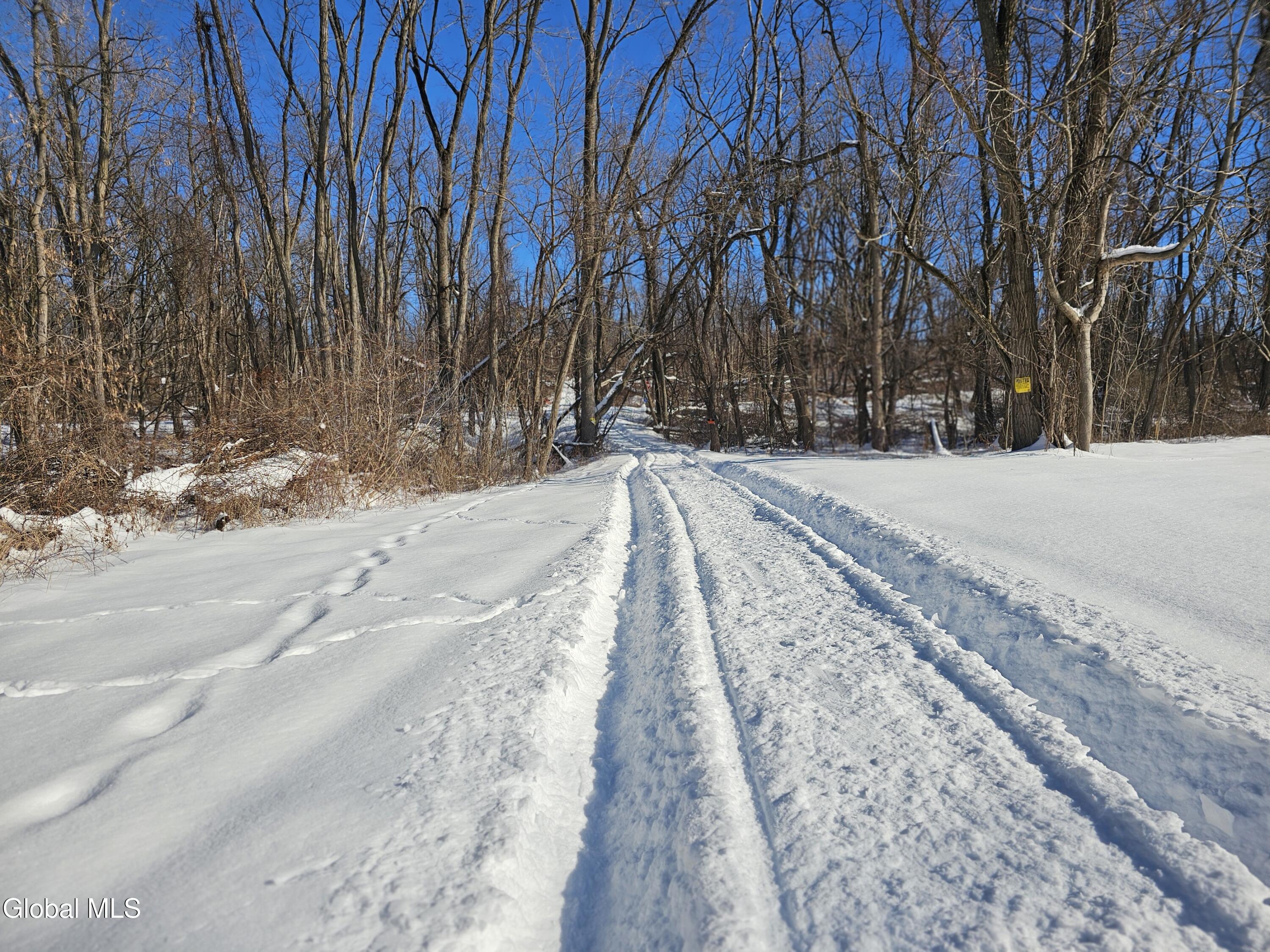 L29 Ridge Road Schodack Landing, NY 12156 - Photo 5 of 10 River Rd