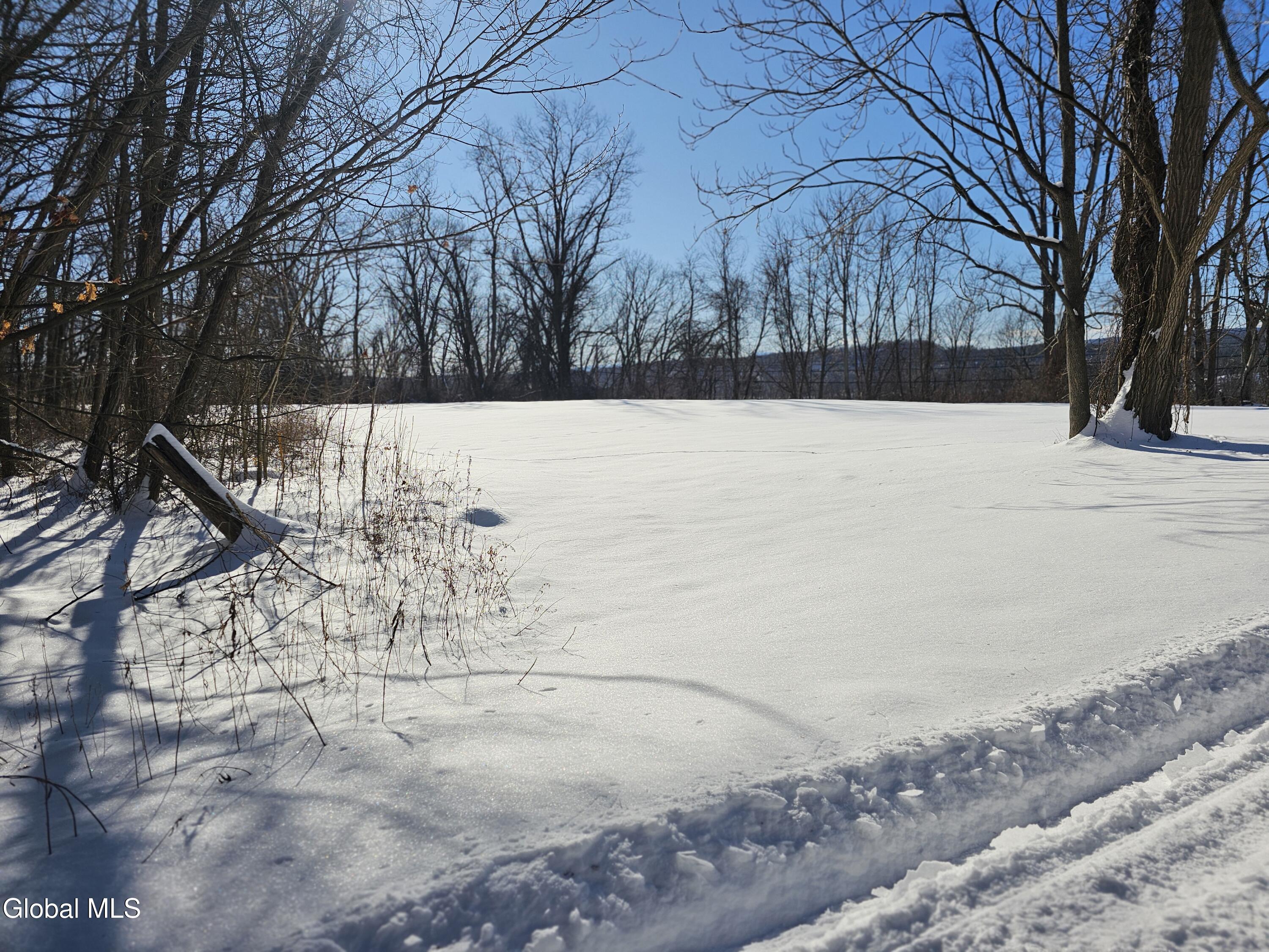 L29 Ridge Road Schodack Landing, NY 12156 - Photo 6 of 10 River Rd