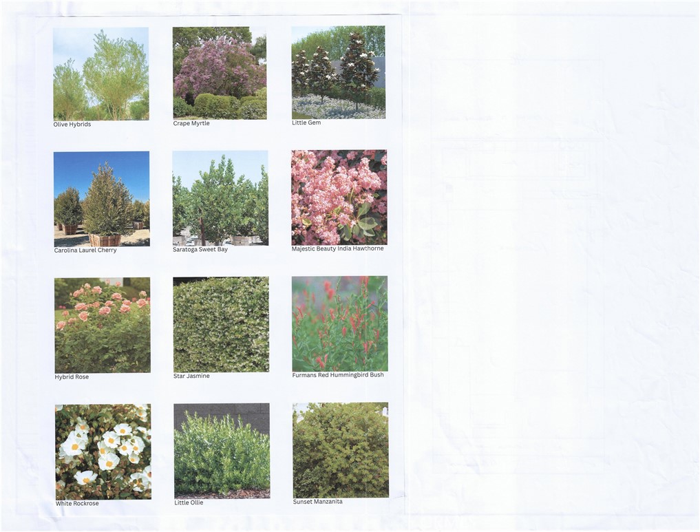 128 Creation Irvine, CA 92618 - Photo 4 of 46