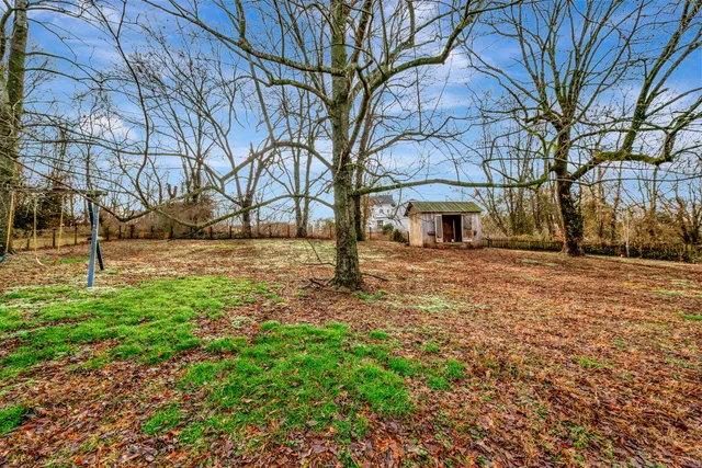 a view of yard with tree