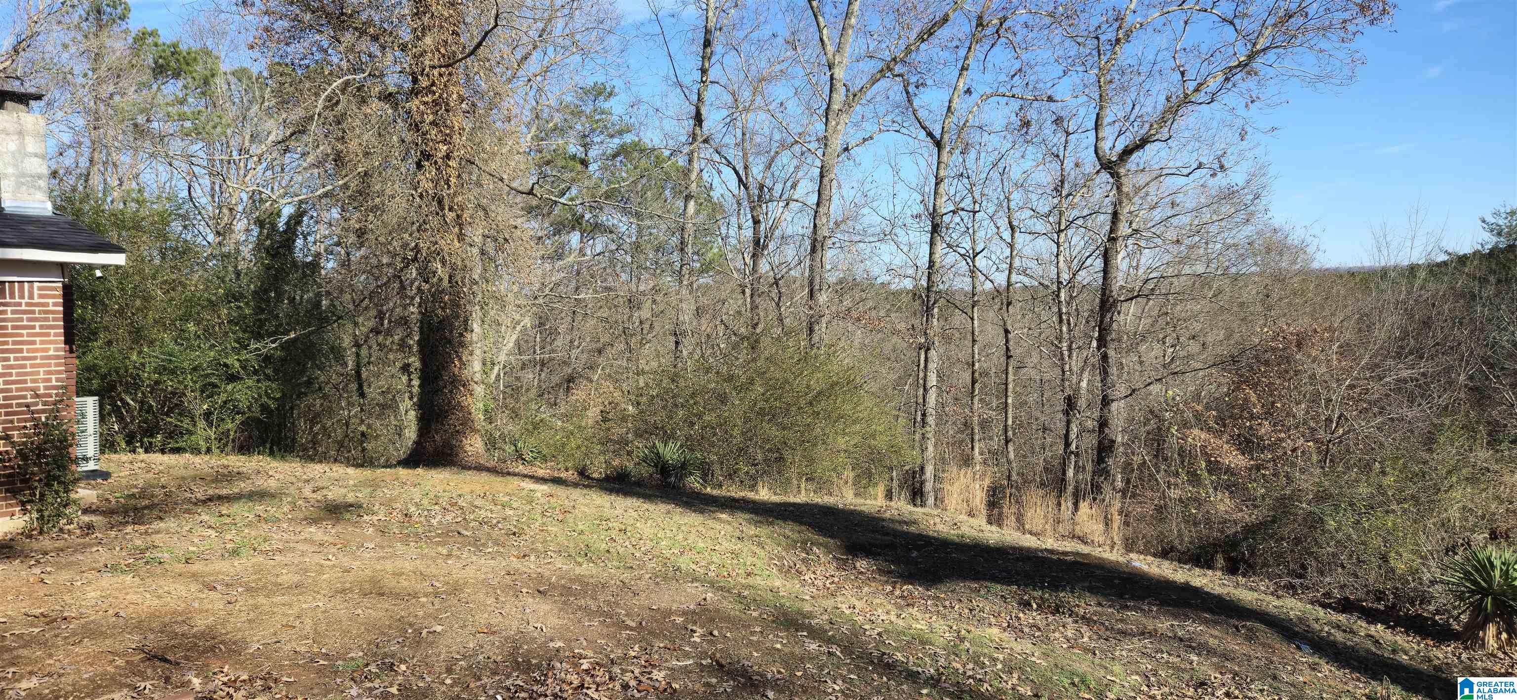 8897 Bradford Trafford Road Pinson, AL 35126 - Photo 6 of 21
