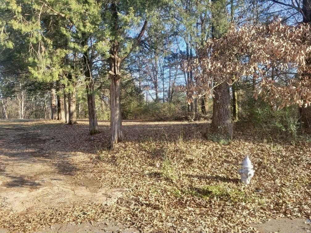 Kay Lane Somerville, TN 38068 - Photo 12 of 19 a backyard of a house with lots of green space
