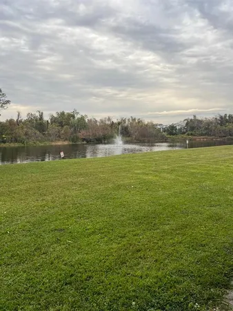a view of an ocean from a yard