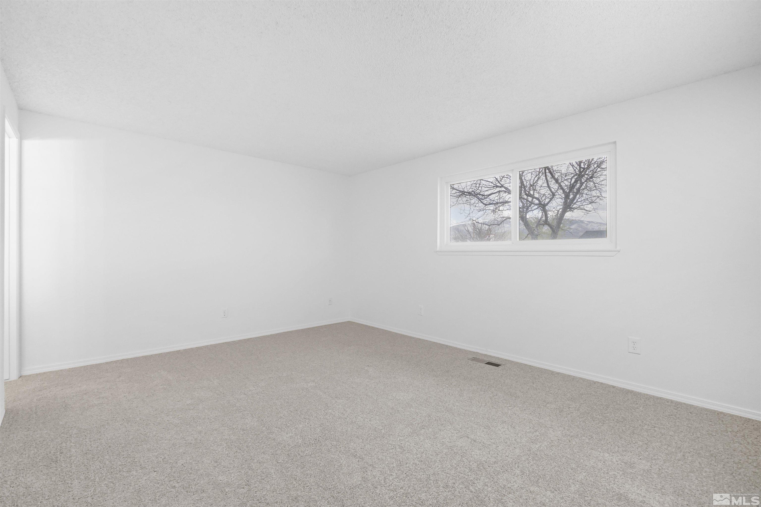 179 Roughing It Road Dayton, NV 89403 - Photo 13 of 27 Photo 13