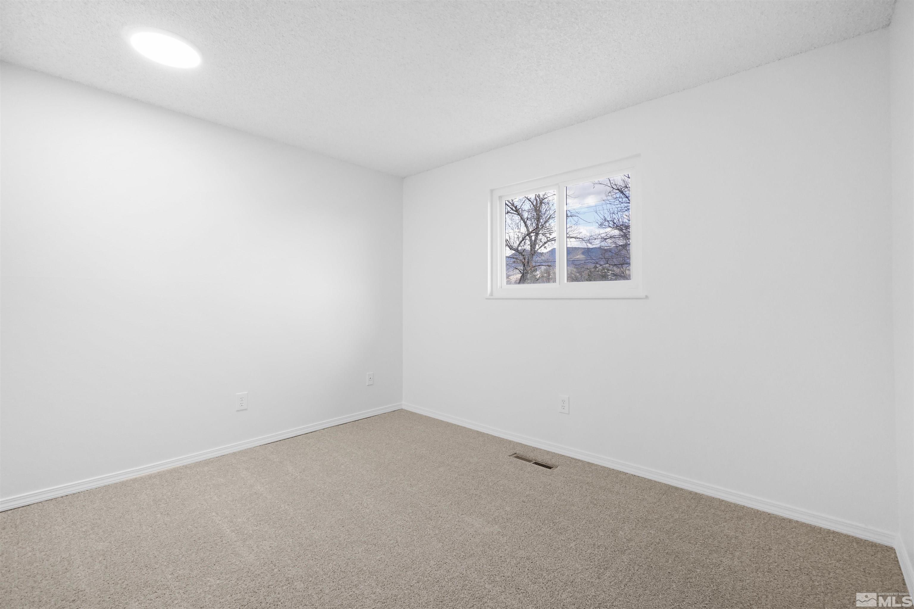 179 Roughing It Road Dayton, NV 89403 - Photo 15 of 27 Photo 15