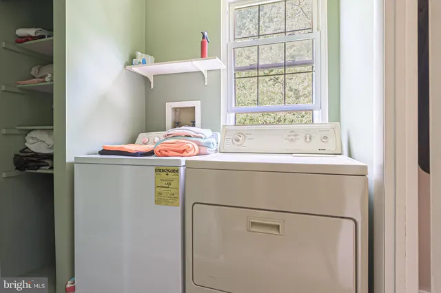 a view of sign board and lush green forest