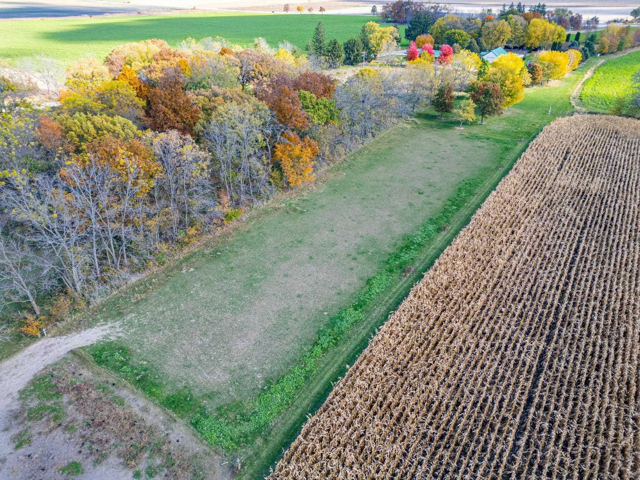 Xxx North Boone School Road Poplar Grove, IL 61065 - Photo 16 of 20 a view of a backyard with pathway