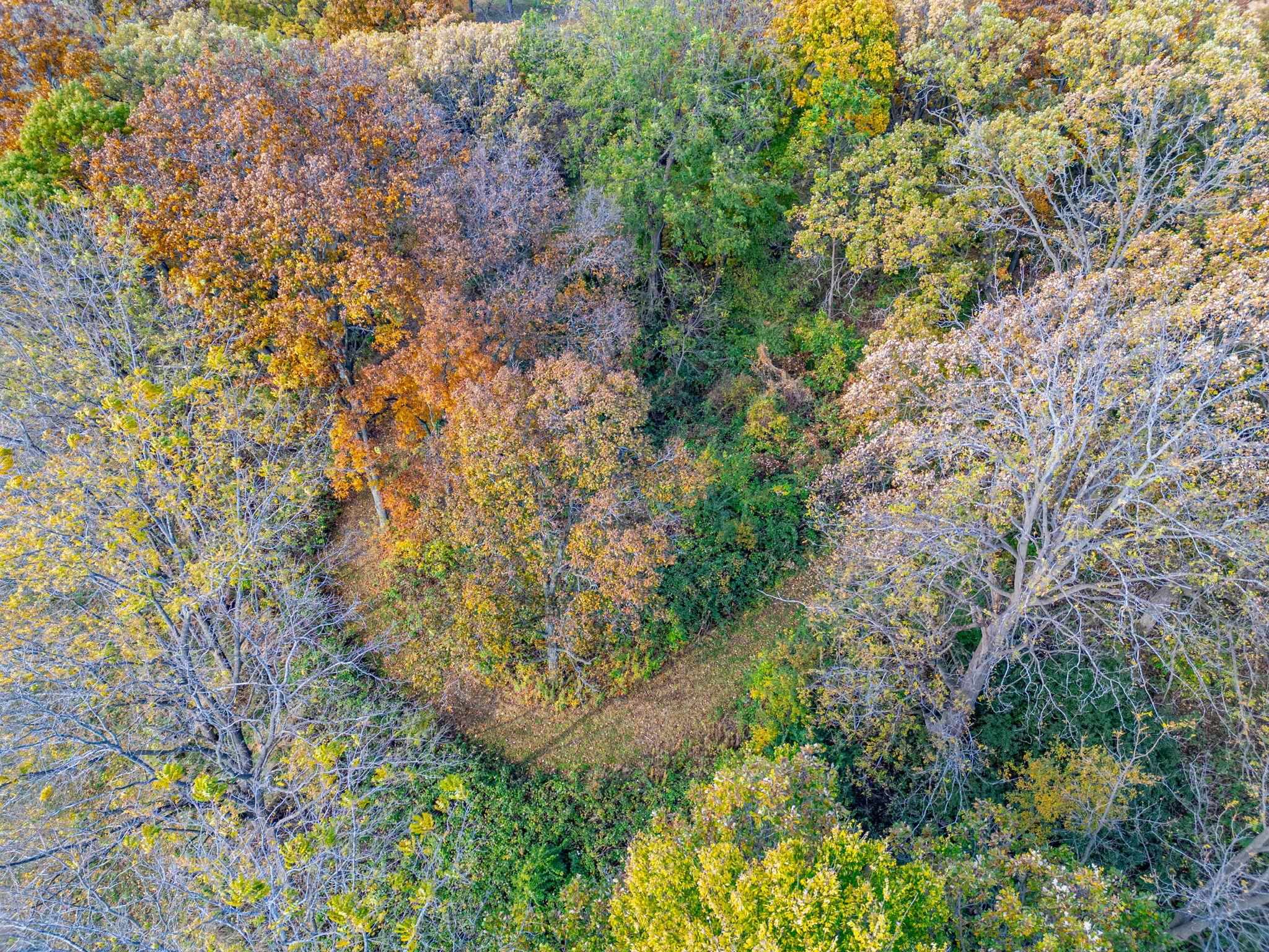 Xxx North Boone School Road Poplar Grove, IL 61065 - Photo 17 of 20 a backyard of a house with lots of green space