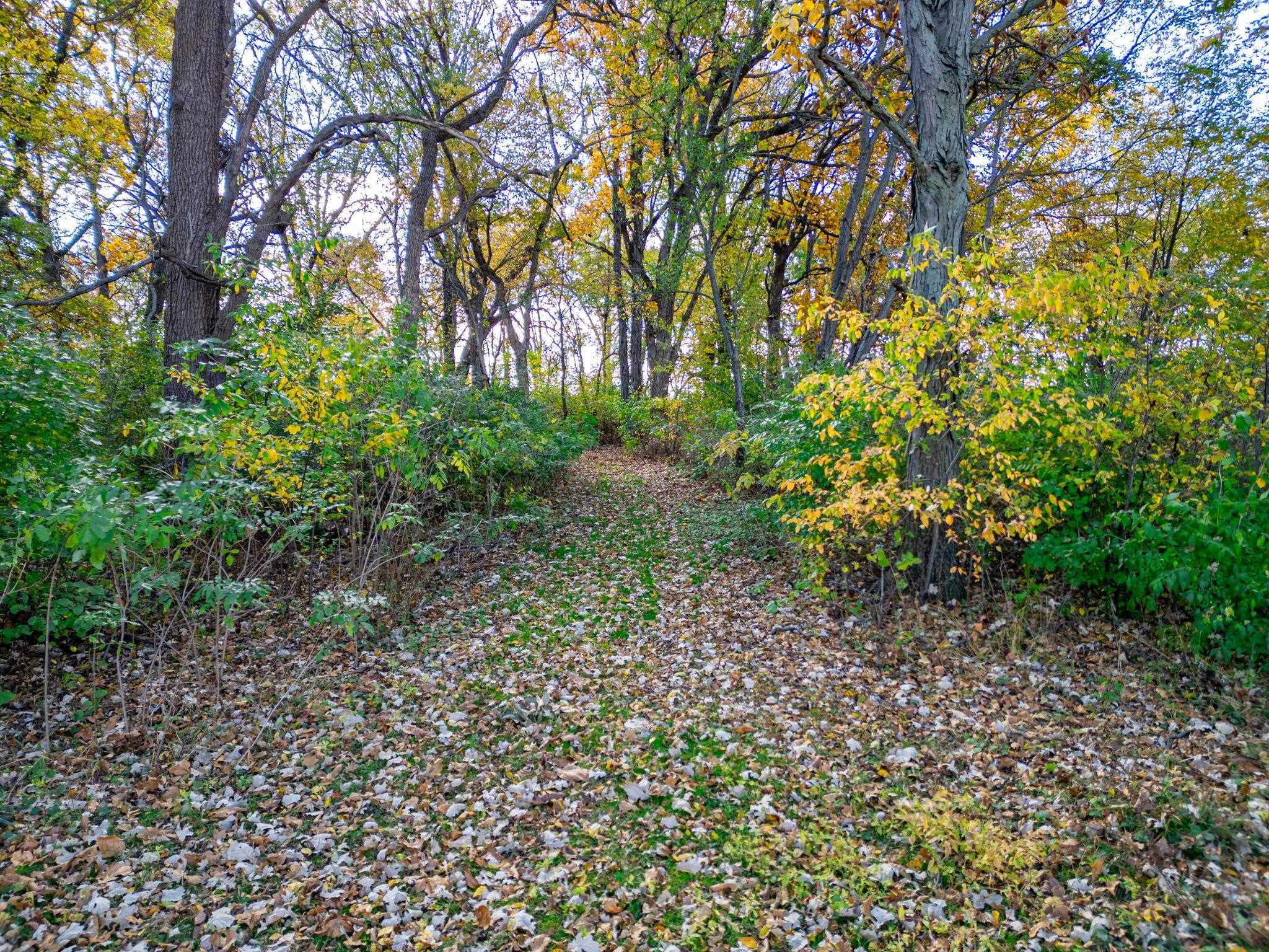 Xxx North Boone School Road Poplar Grove, IL 61065 - Photo 19 of 20 a view of a garden with plants and trees
