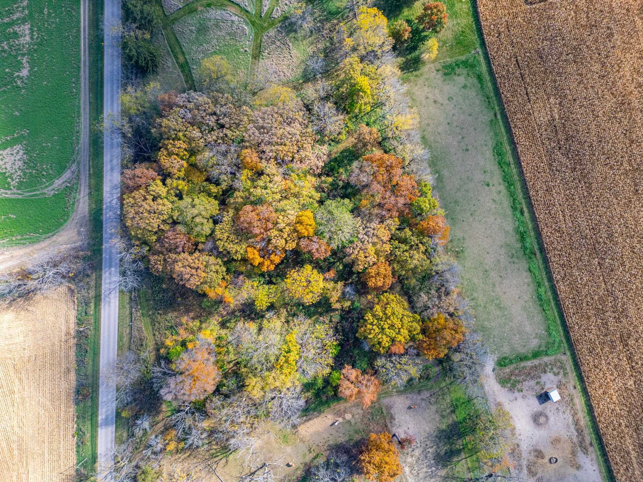 Xxx North Boone School Road Poplar Grove, IL 61065 - Photo 7 of 20 a picture of flowers