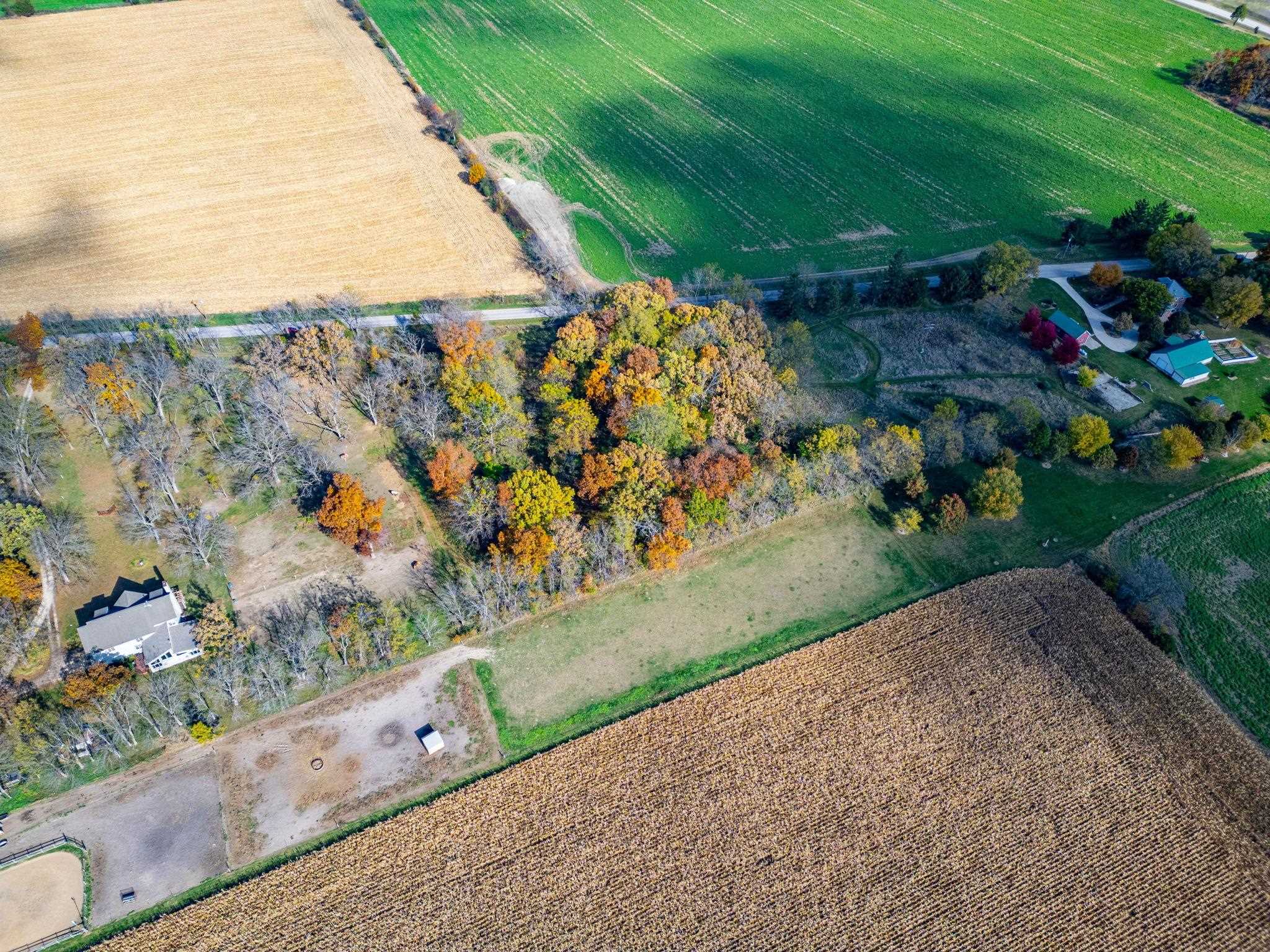 Xxx North Boone School Road Poplar Grove, IL 61065 - Photo 8 of 20 a view of a yard with an empty space