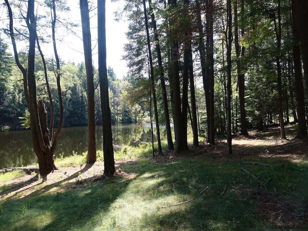 345 Plank Road Greenfield, NY 12859 - Photo 2 of 6 Photo 2