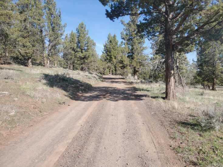 17703 Fishhole Creek Road Bly, OR 97622 - Photo 20 of 34 IMG-20260330-WA0002