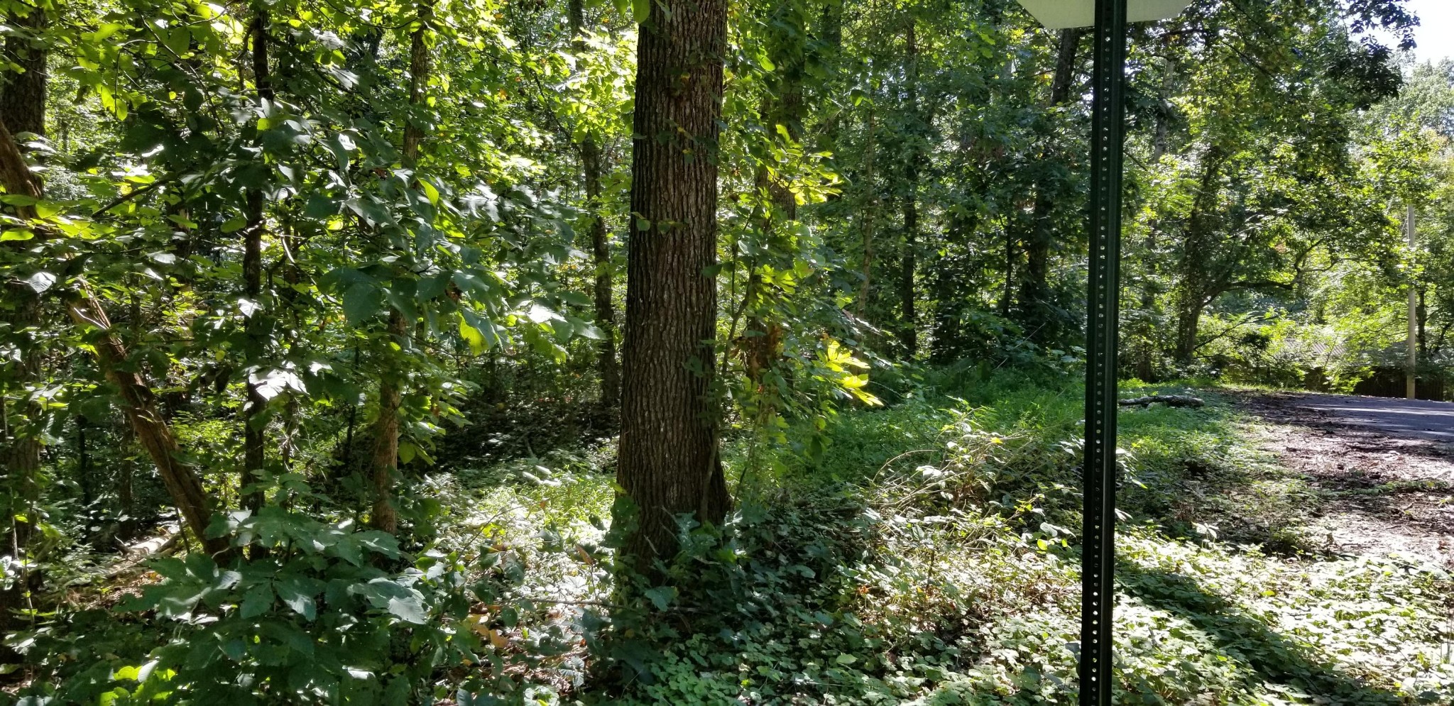 20 Wilderness Road Friendsville, TN 37737 - Photo 1 of 5 Gallery Image 1