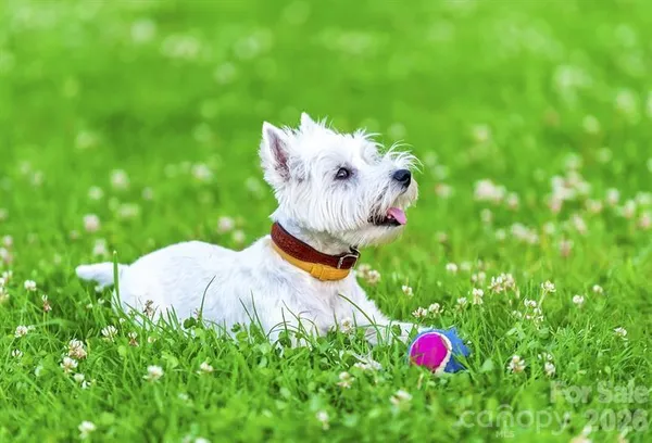 $354,990 | 11013 Rococo Lane, Charlotte, NC 28214