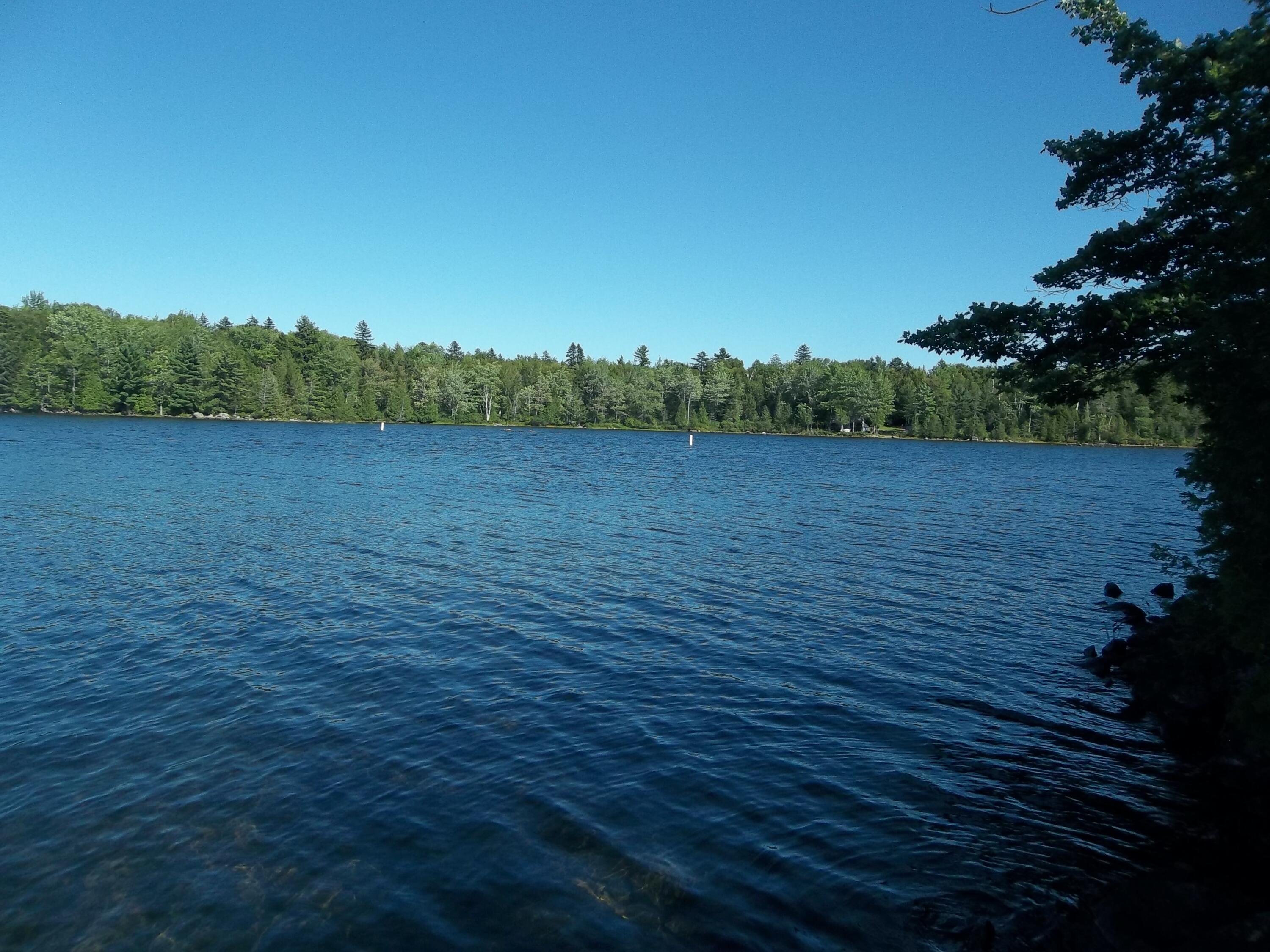 83 Cove Road Meddybemps, ME 04657 - Photo 19 of 31 100_0407