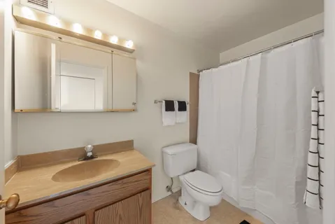 a bathroom with a sink toilet and vanity