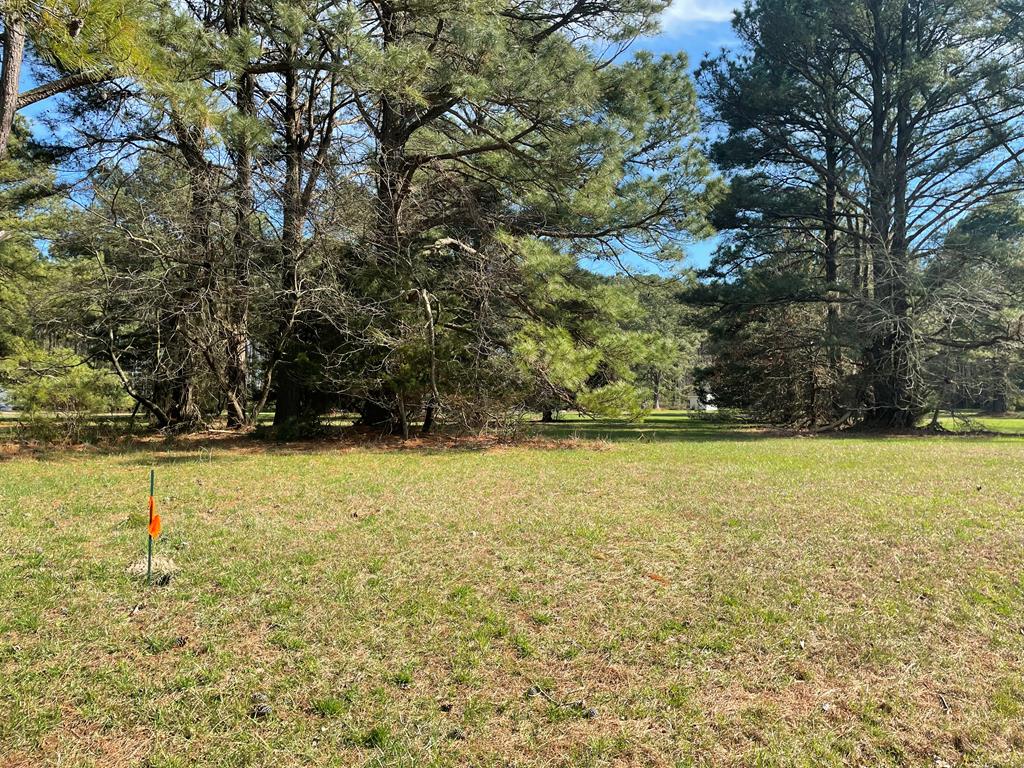 Lot 302 Underway Road, Unit 302 Greenbackville, VA 23356 - Photo 1 of 4