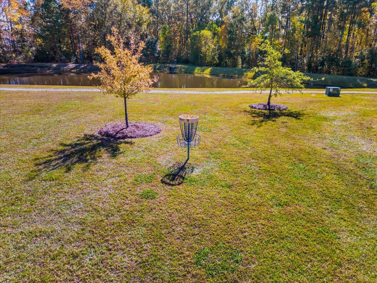 224 Goshen Road Moncks Corner, SC 29461 - Photo 39 of 43 Disc Golf