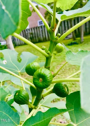 $288,000 | 221 Whitfield Street, Enfield, NC 27823