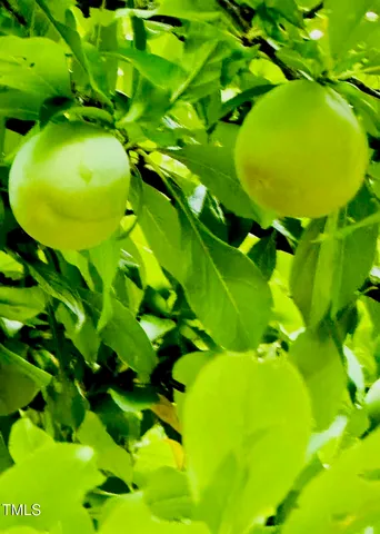 $288,000 | 221 Whitfield Street, Enfield, NC 27823