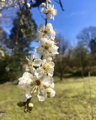 $288,000 | 221 Whitfield Street, Enfield, NC 27823