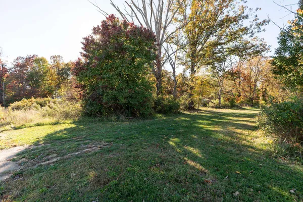a view of outdoor space and yard