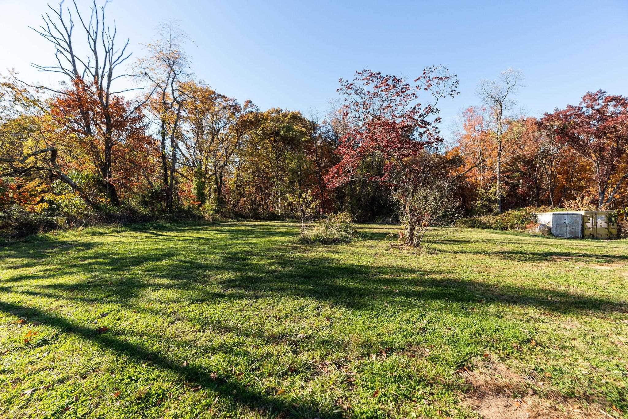 1059 Mt Torrey Road Lyndhurst, VA 22952 - Photo 7 of 26 a view of a swimming pool with a yard and large trees