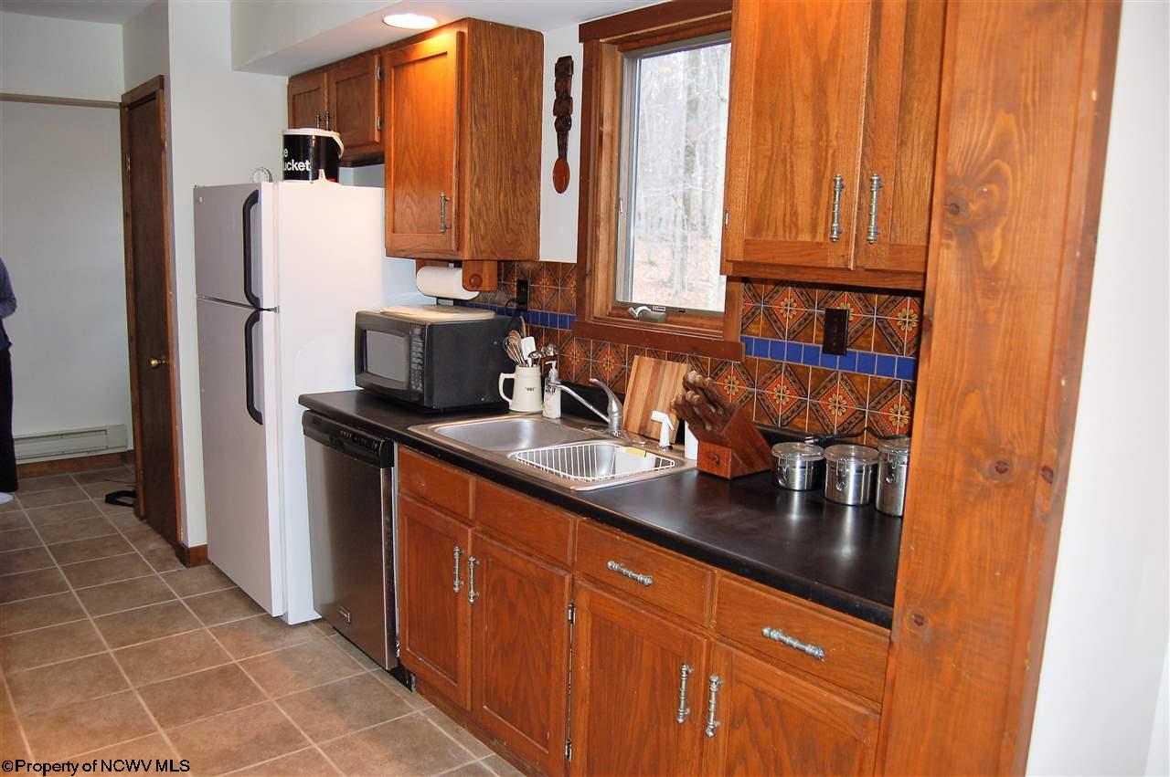 454 Cabin Mountain Road Davis, WV 26260 - Photo 13 of 20 Gallery Image 13