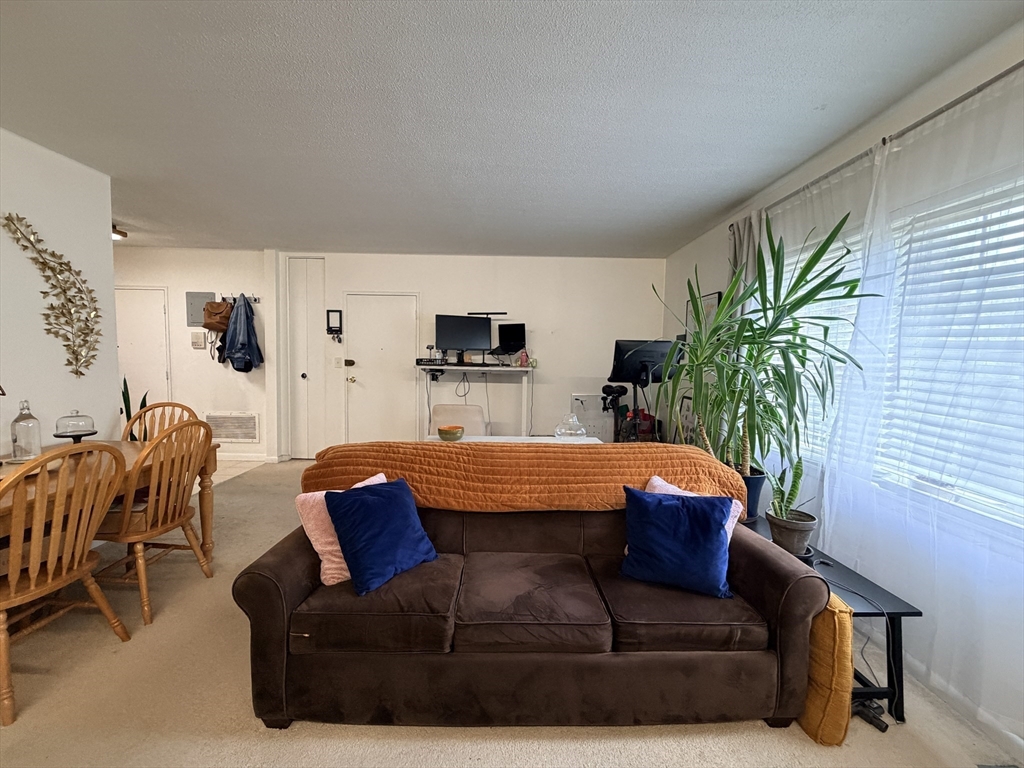 185 Lake Shore Road, Unit 1 Boston, MA 02135 - Photo 2 of 21